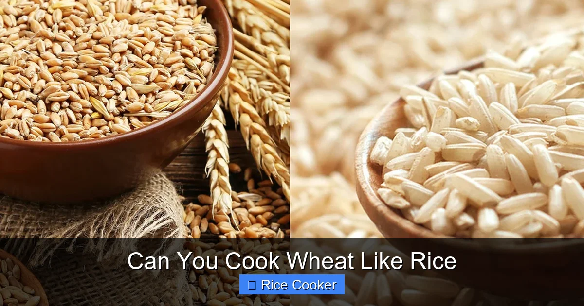 Can You Cook Wheat Like Rice