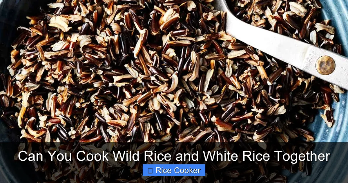 Can You Cook Wild Rice and White Rice Together