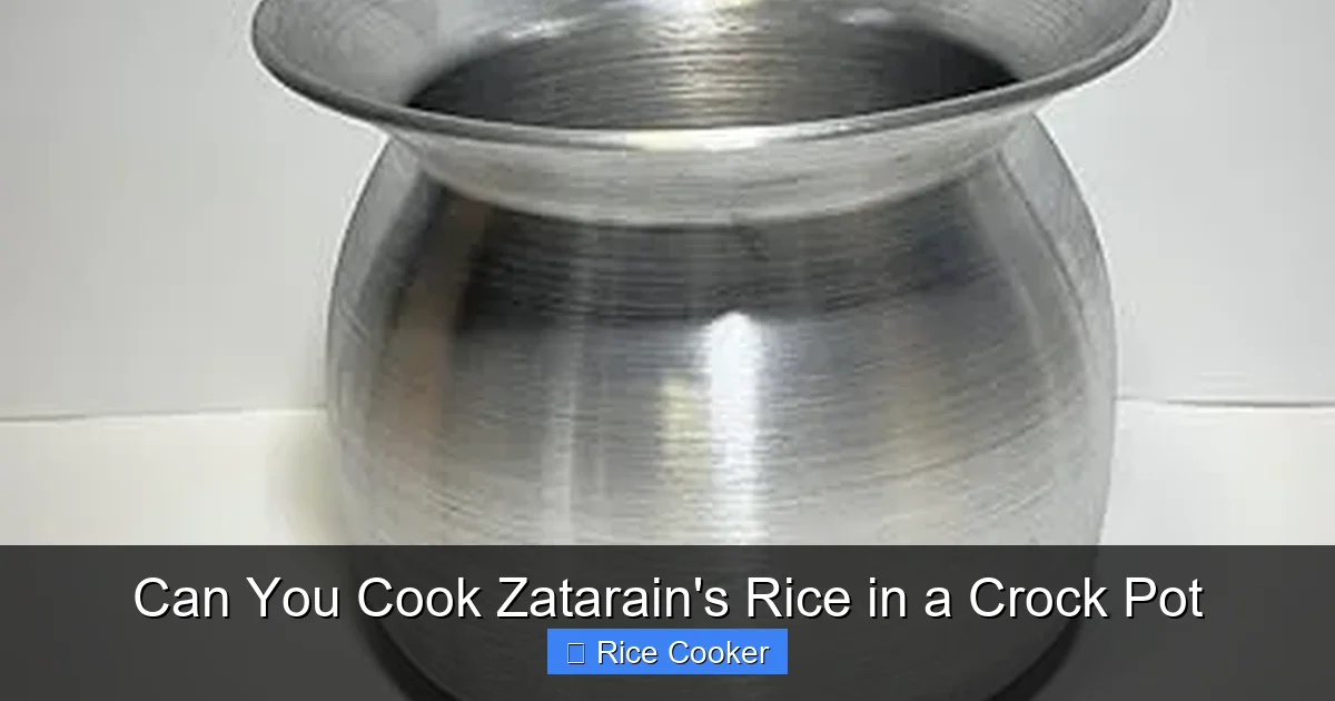 Can You Cook Zatarain's Rice in a Crock Pot