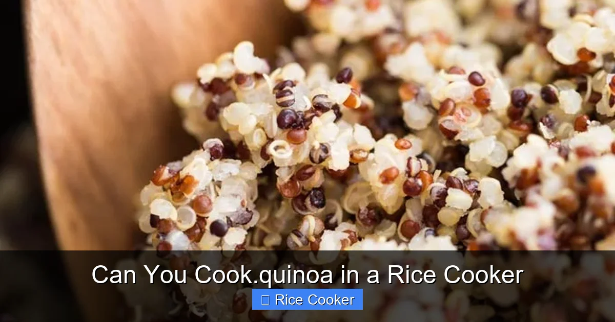 Can You Cook.quinoa in a Rice Cooker