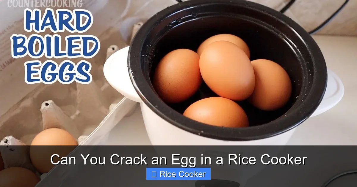Can You Crack an Egg in a Rice Cooker