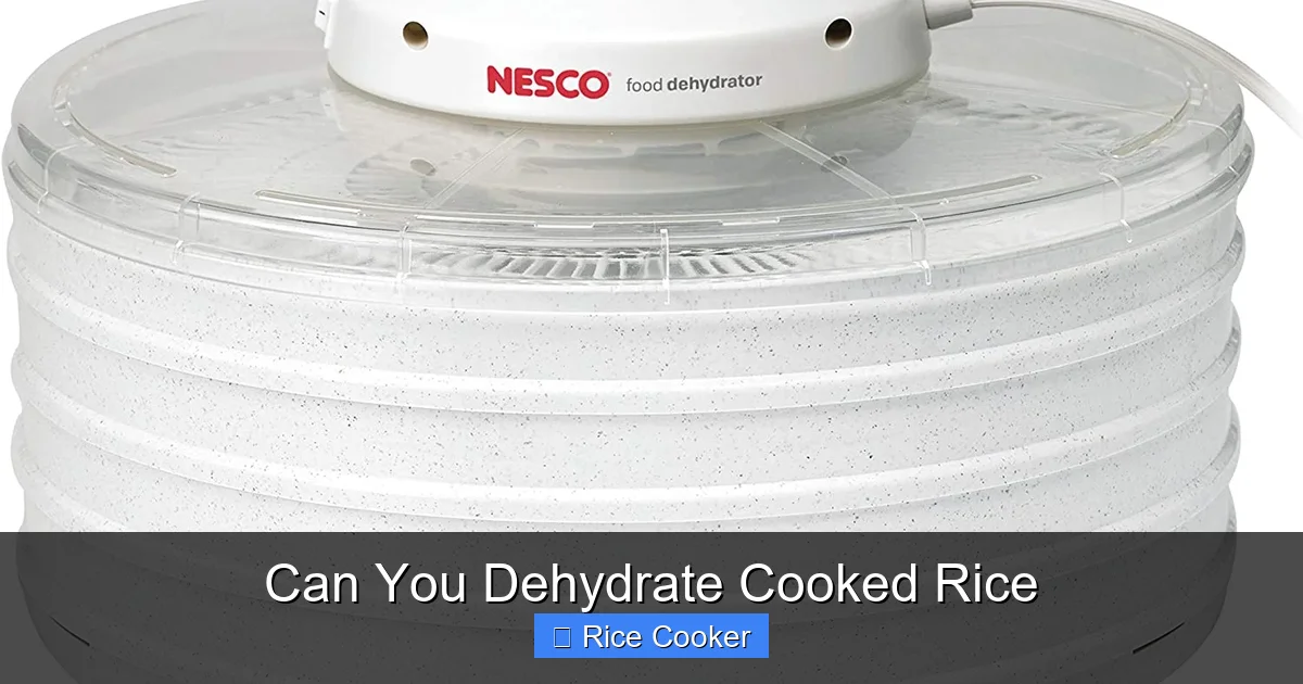 Can You Dehydrate Cooked Rice