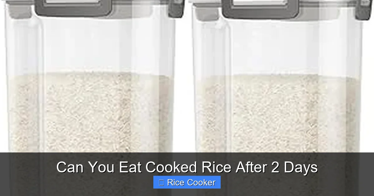 Can You Eat Cooked Rice After 2 Days