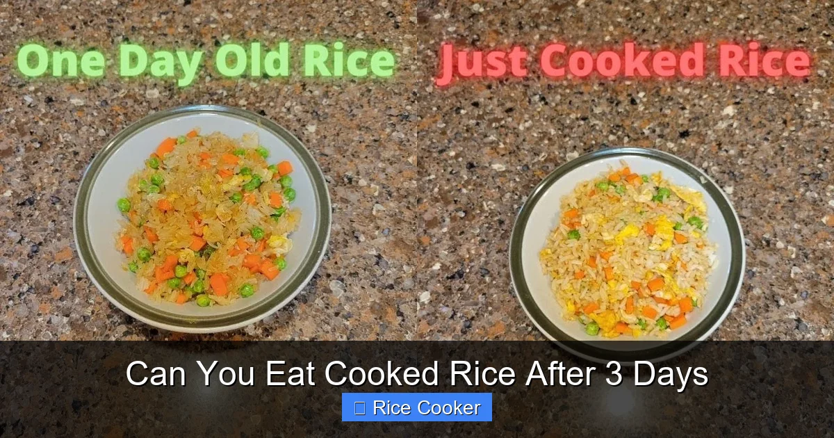 Can You Eat Cooked Rice After 3 Days