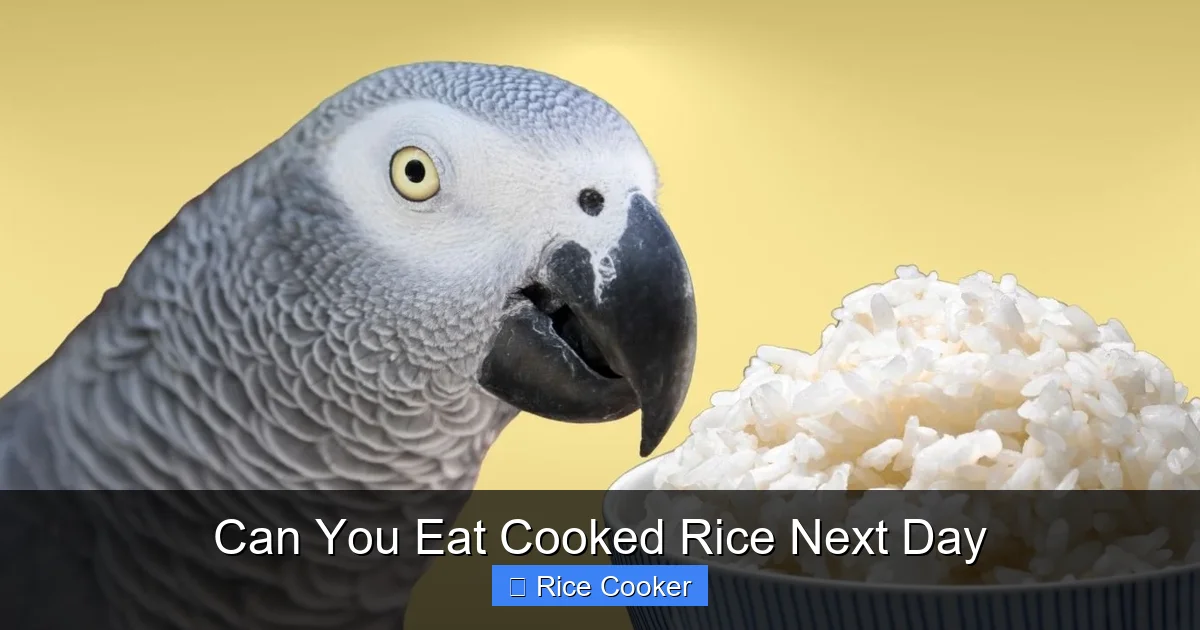 Can You Eat Cooked Rice Next Day