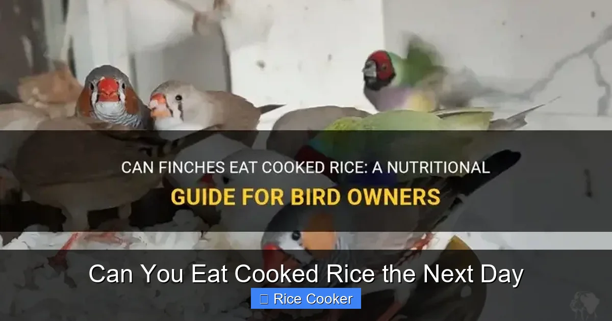 Can You Eat Cooked Rice the Next Day
