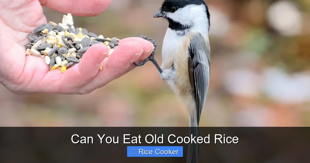 Can You Eat Old Cooked Rice