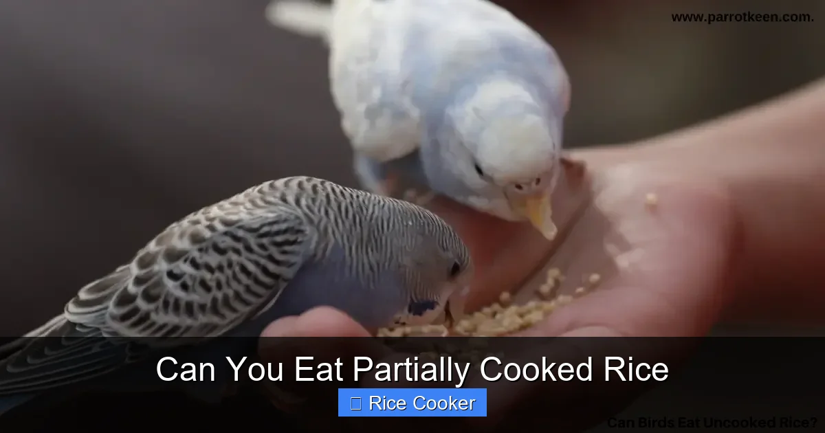 Can You Eat Partially Cooked Rice