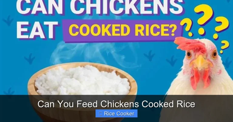 Can You Feed Chickens Cooked Rice