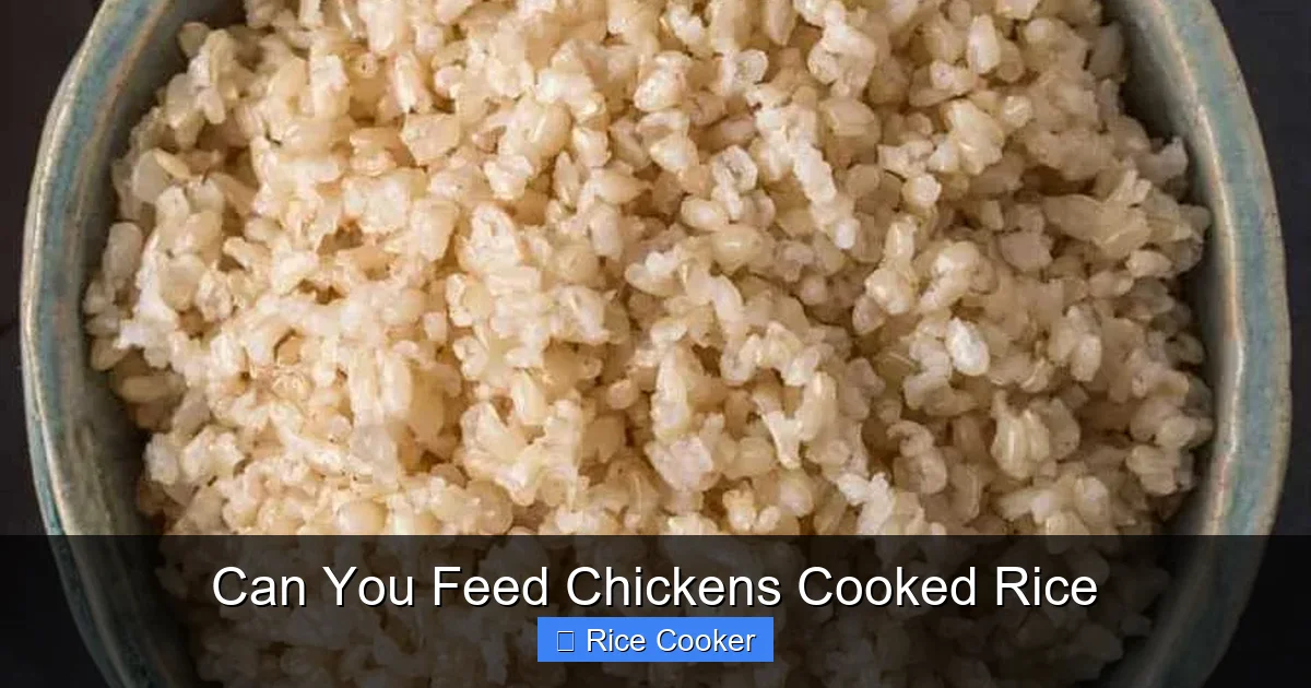 Can You Feed Chickens Cooked Rice