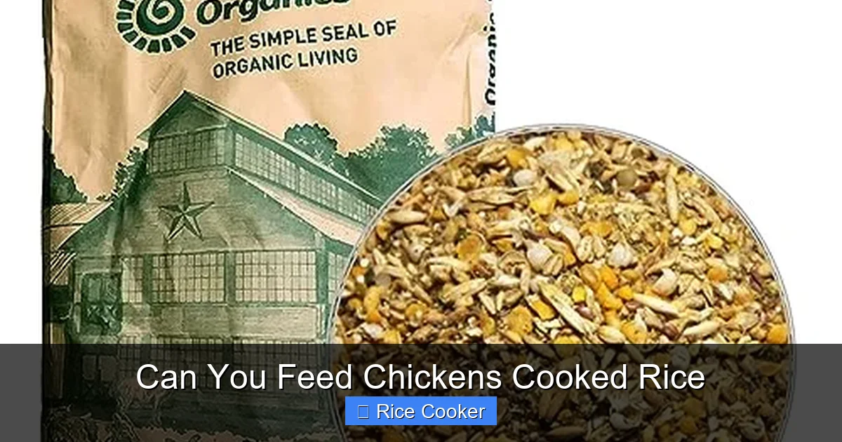 Can You Feed Chickens Cooked Rice