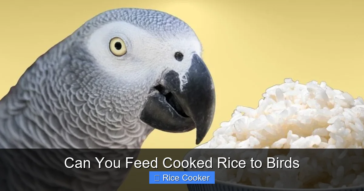 Can You Feed Cooked Rice to Birds