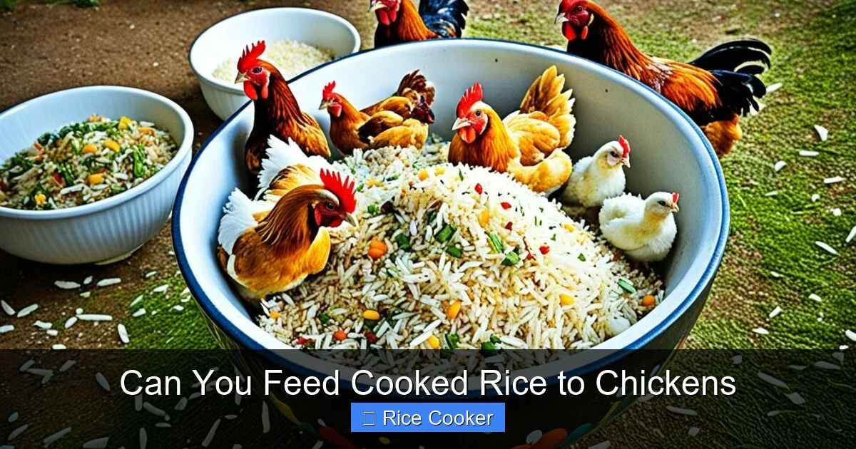Can You Feed Cooked Rice to Chickens