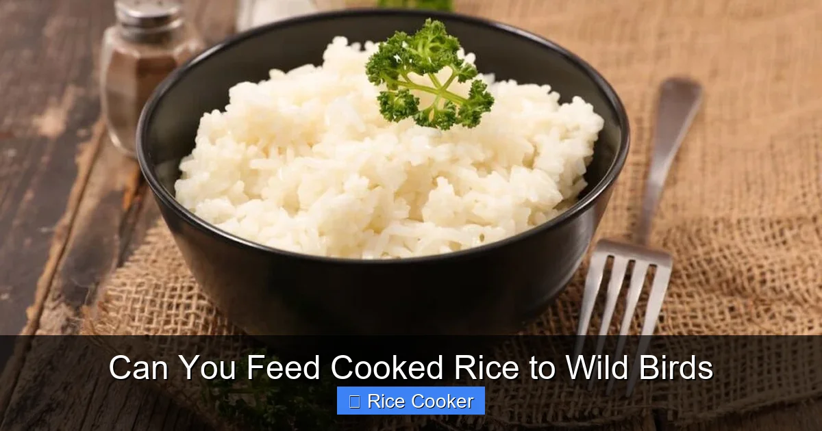 Can You Feed Cooked Rice to Wild Birds