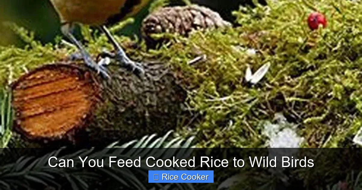 Can You Feed Cooked Rice to Wild Birds