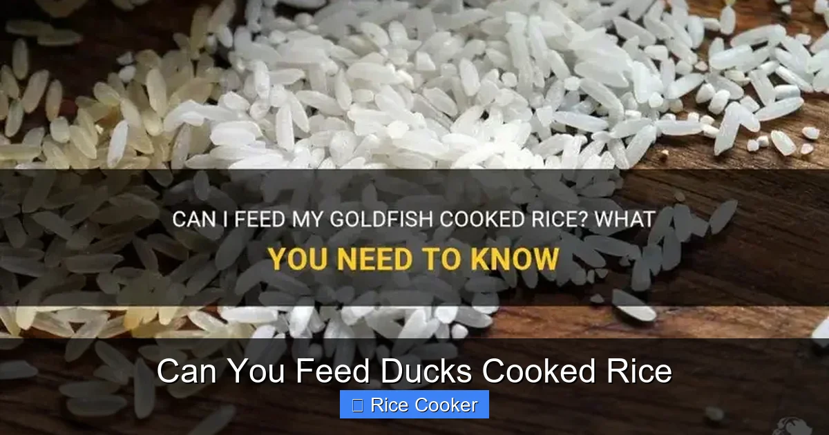 Can You Feed Ducks Cooked Rice