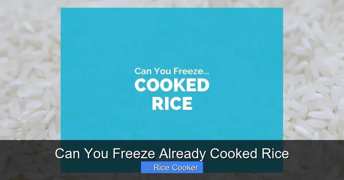 Can You Freeze Already Cooked Rice