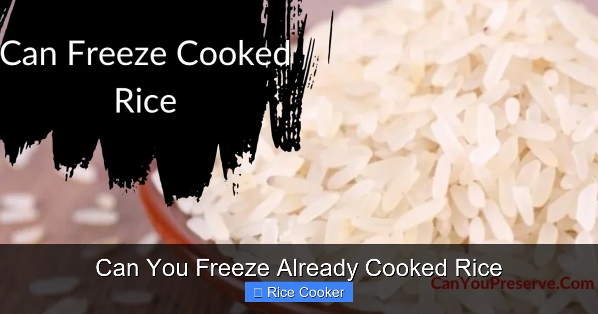 Can You Freeze Already Cooked Rice