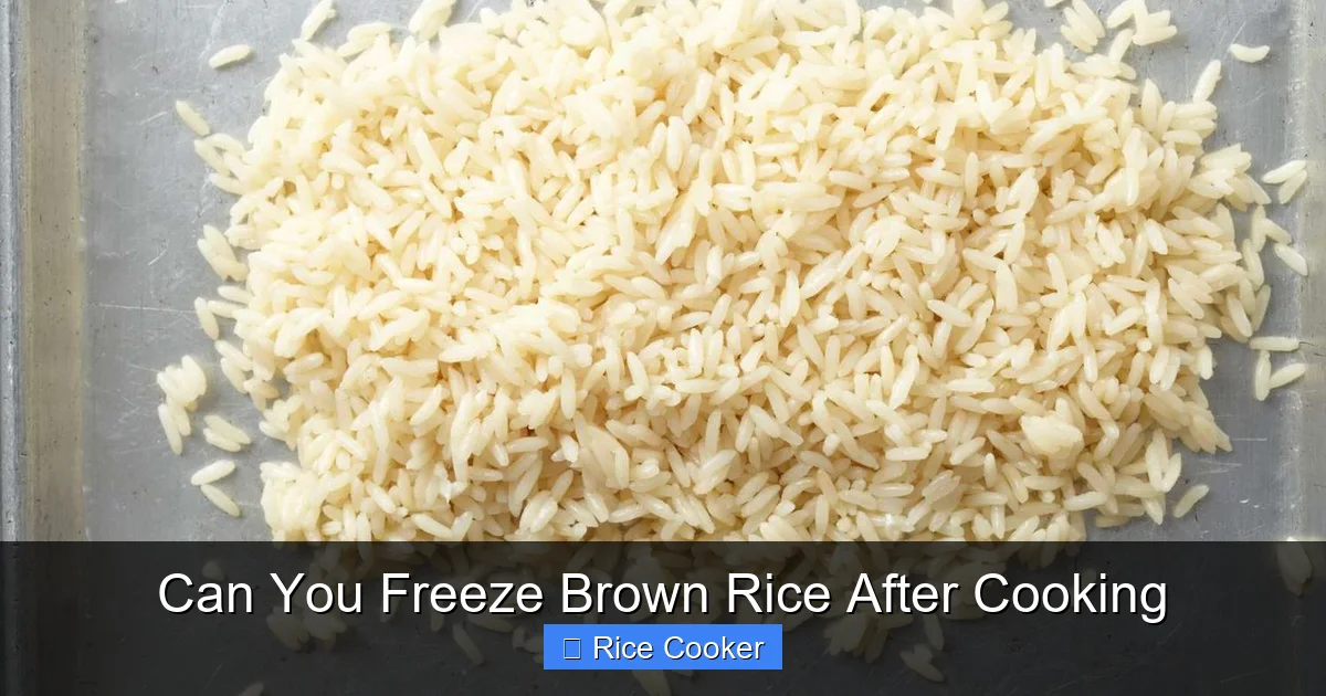Can You Freeze Brown Rice After Cooking