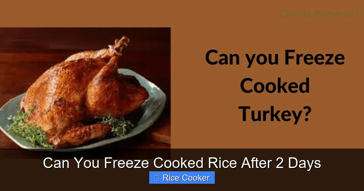 Can You Freeze Cooked Rice After 2 Days