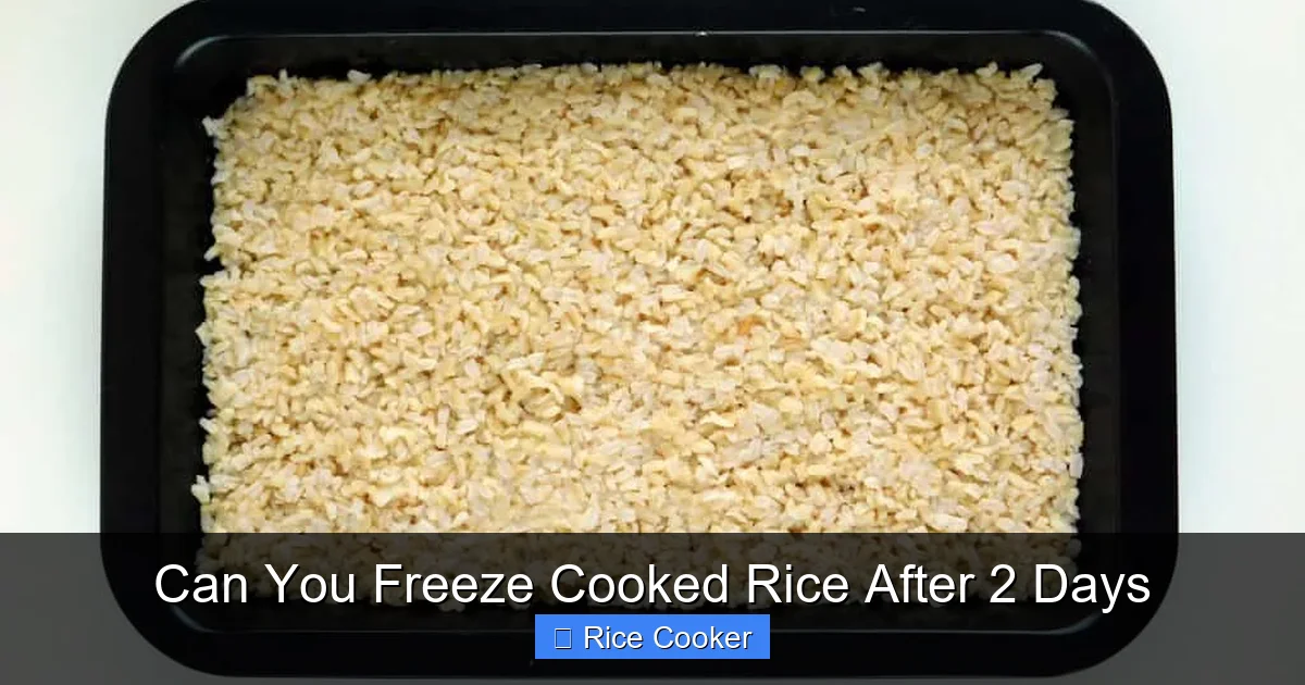 Can You Freeze Cooked Rice After 2 Days