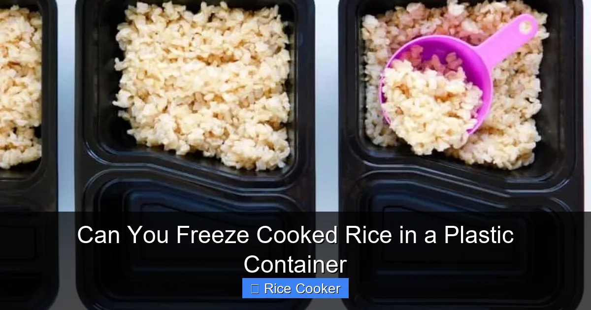Can You Freeze Cooked Rice in a Plastic Container