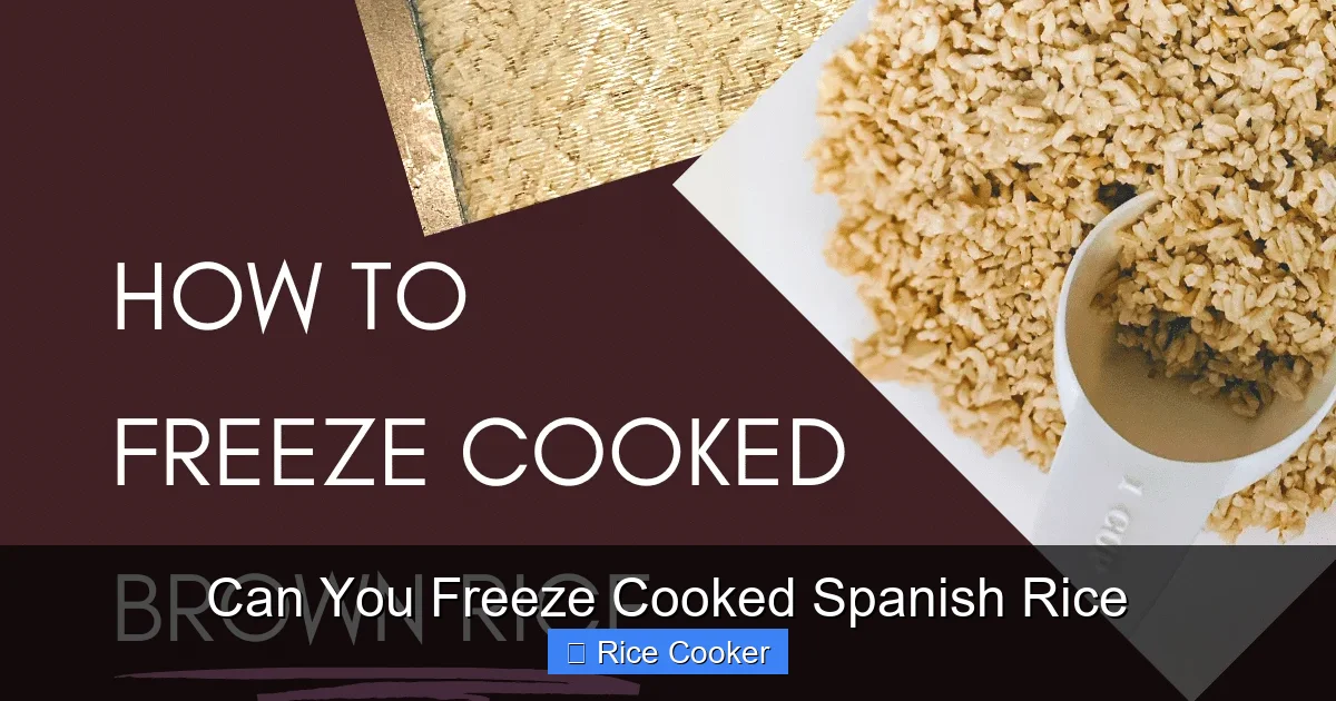 Can You Freeze Cooked Spanish Rice