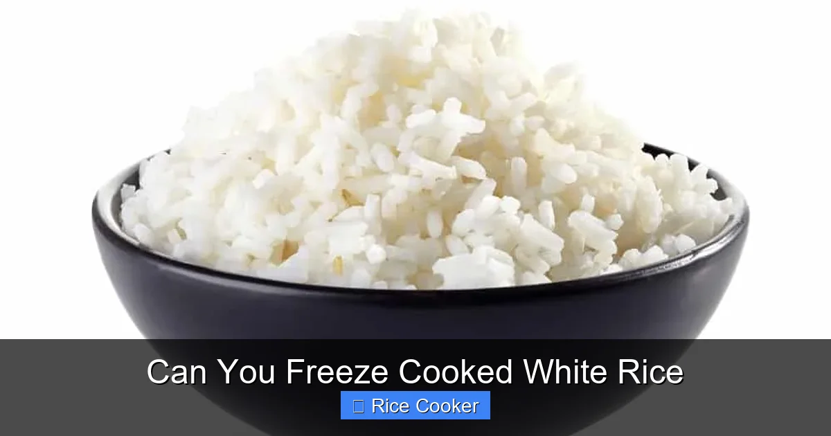 Can You Freeze Cooked White Rice