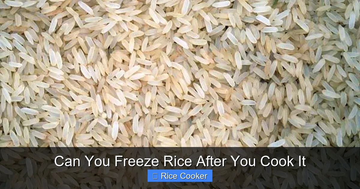 Can You Freeze Rice After You Cook It