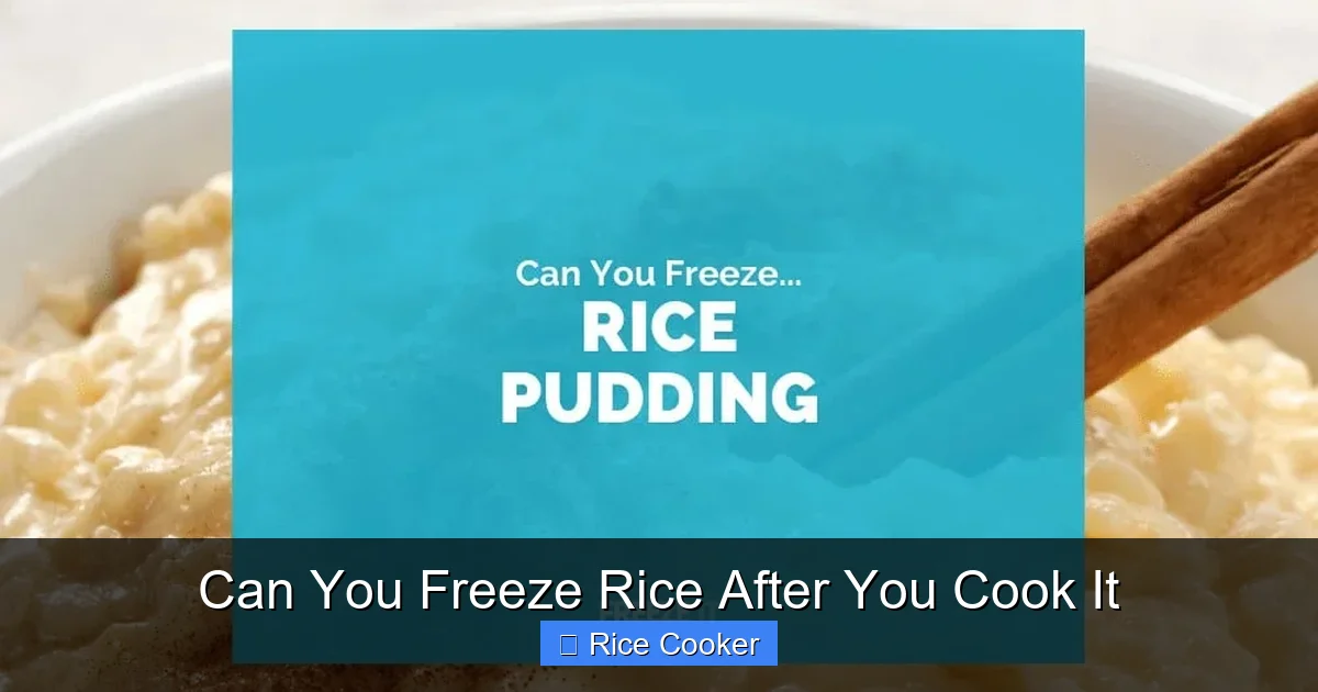Can You Freeze Rice After You Cook It