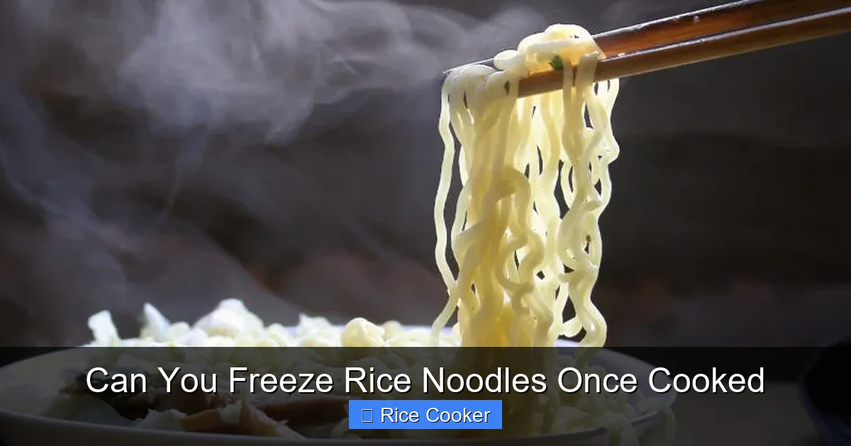 Can You Freeze Rice Noodles Once Cooked