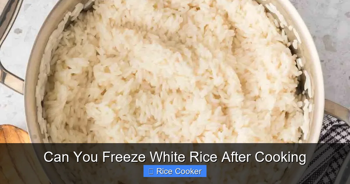 Can You Freeze White Rice After Cooking