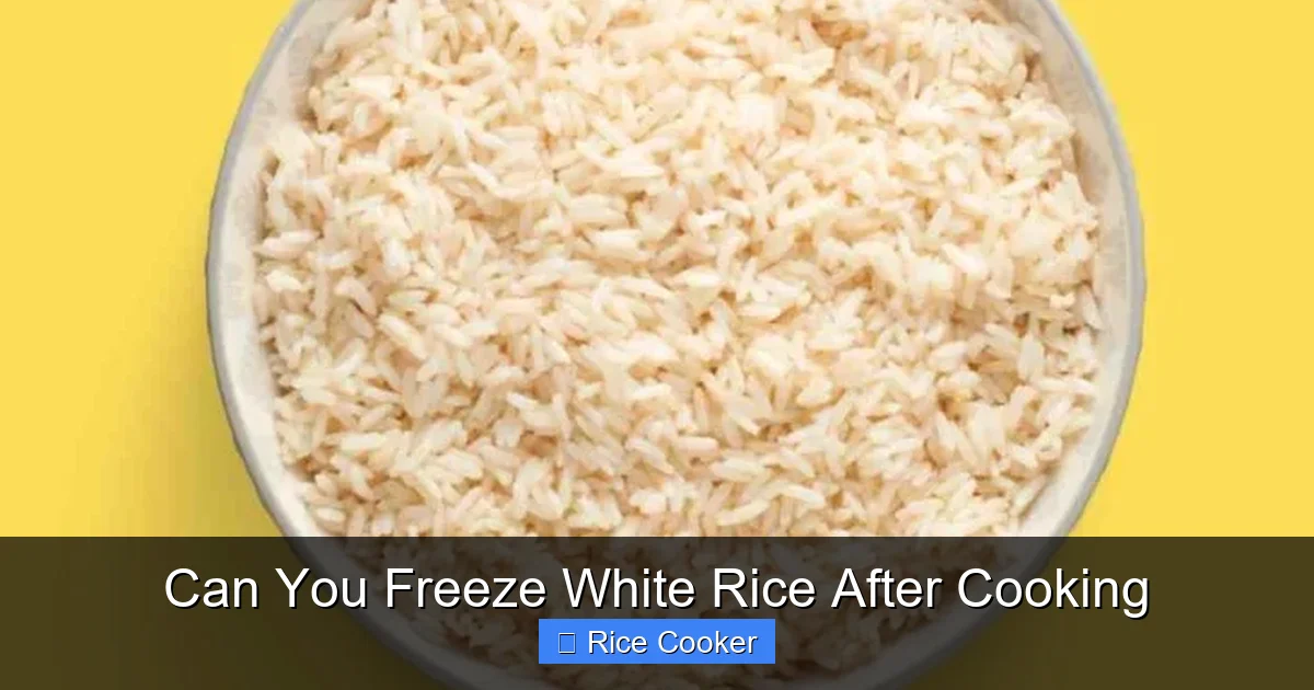 Can You Freeze White Rice After Cooking