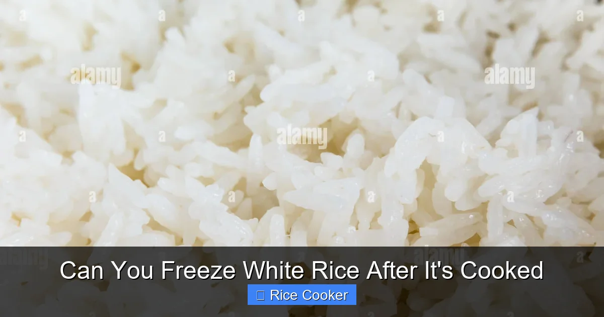 Can You Freeze White Rice After It's Cooked