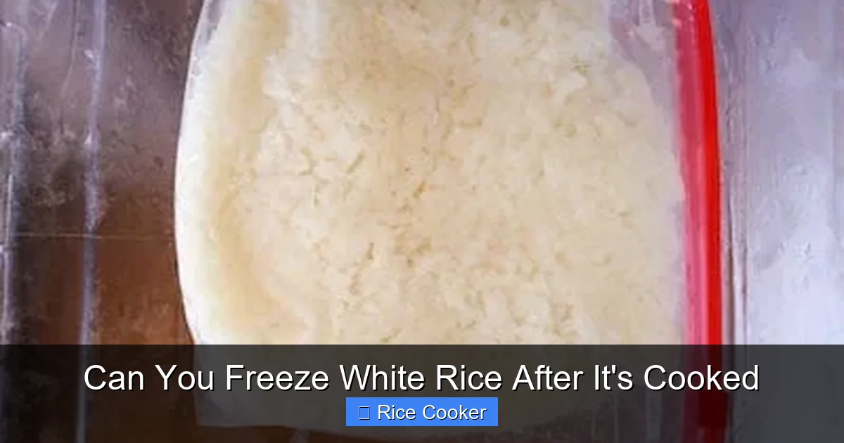 Can You Freeze White Rice After It's Cooked