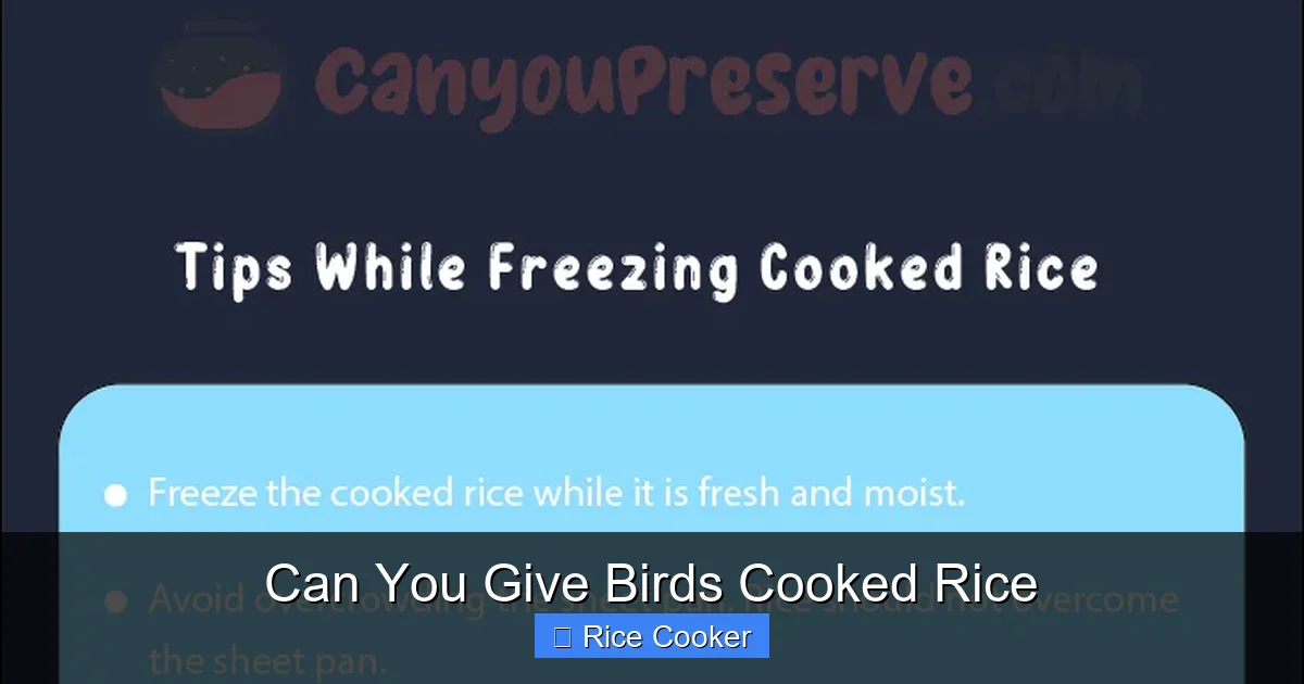 Can You Give Birds Cooked Rice