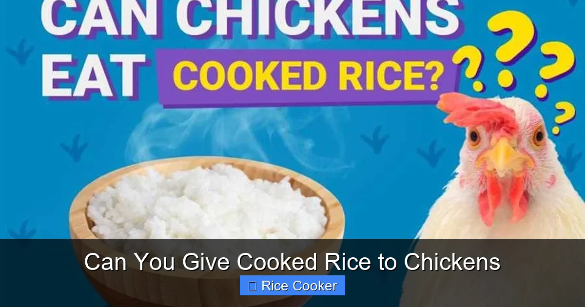 Can You Give Cooked Rice to Chickens