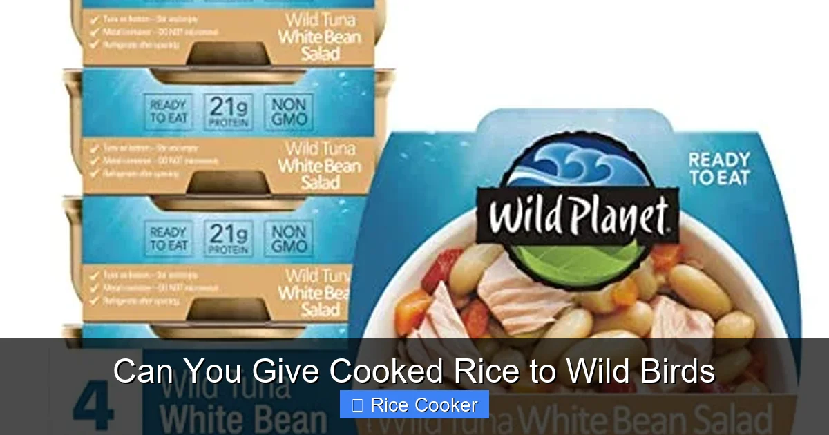 Can You Give Cooked Rice to Wild Birds