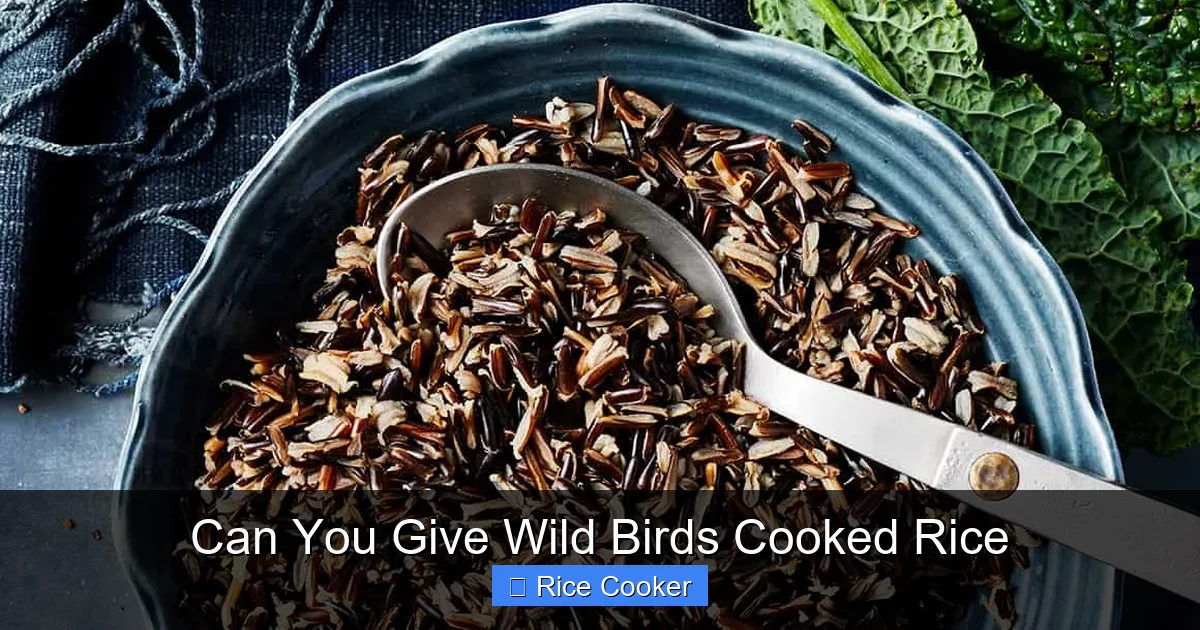 Can You Give Wild Birds Cooked Rice