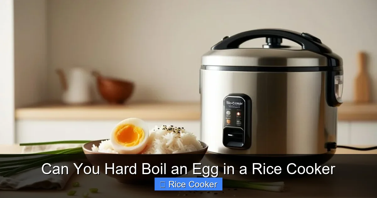 Can You Hard Boil an Egg in a Rice Cooker