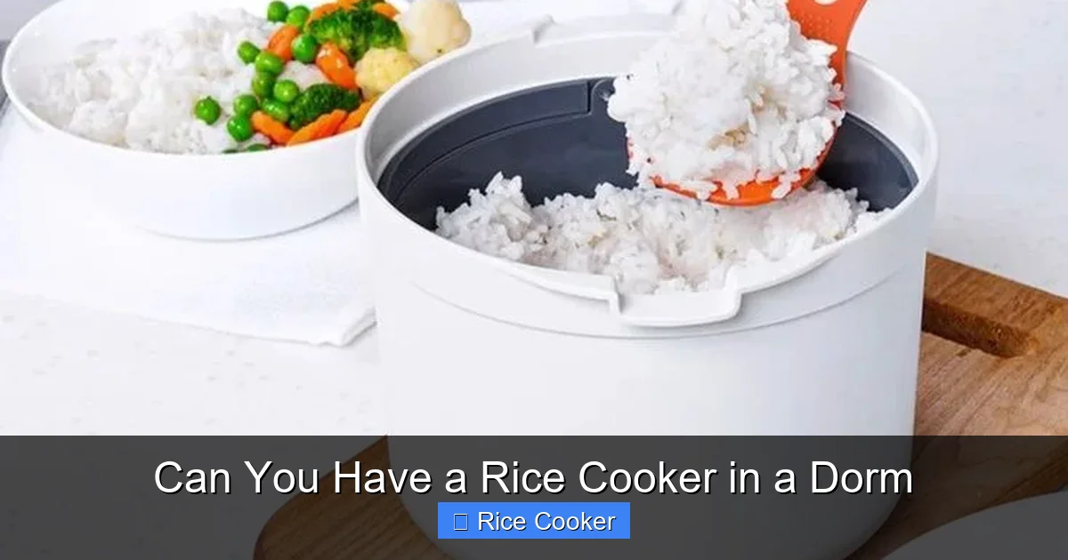 Can You Have a Rice Cooker in a Dorm