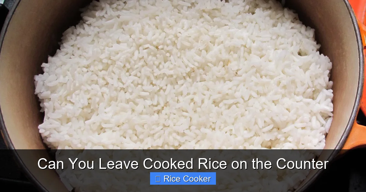 Can You Leave Cooked Rice on the Counter