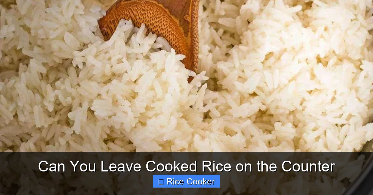 Can You Leave Cooked Rice on the Counter