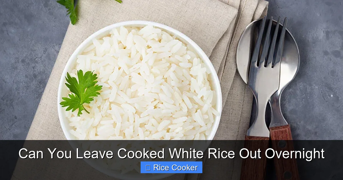Can You Leave Cooked White Rice Out Overnight