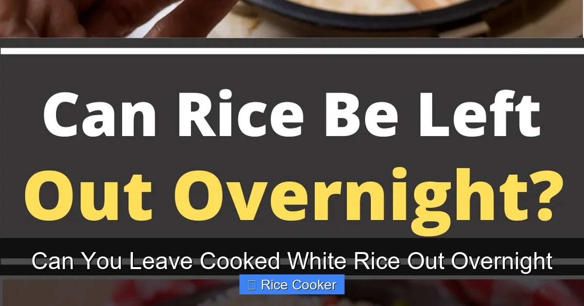 Can You Leave Cooked White Rice Out Overnight