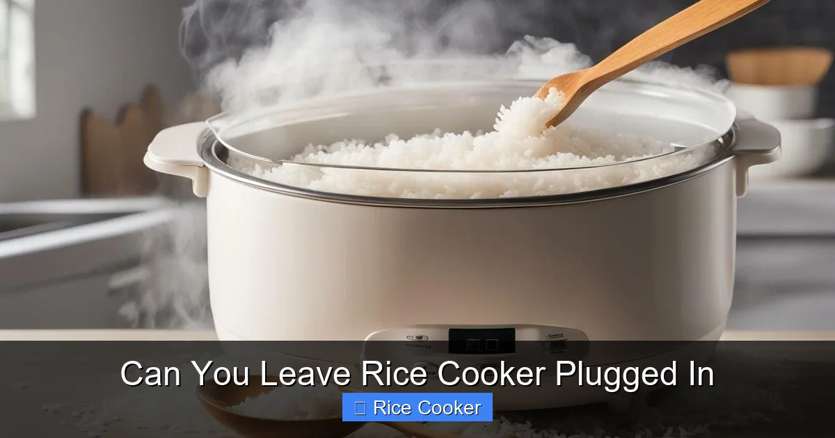 Can You Leave Rice Cooker Plugged In