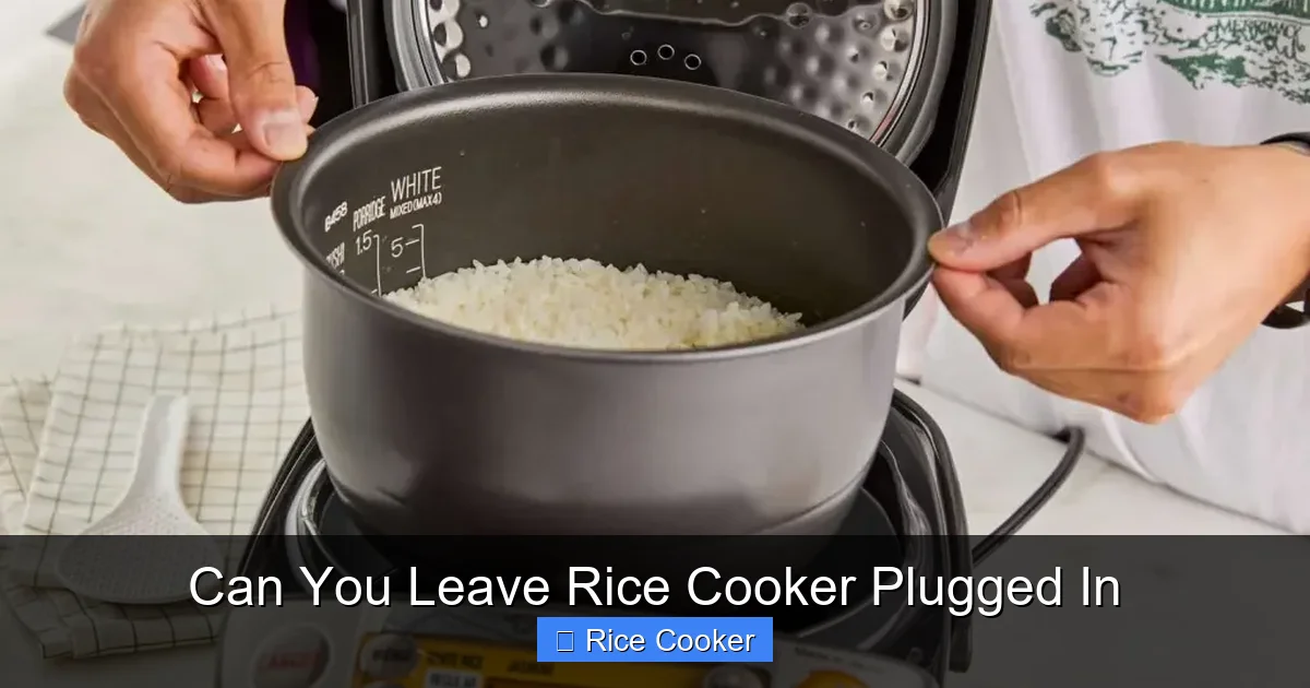 Can You Leave Rice Cooker Plugged In