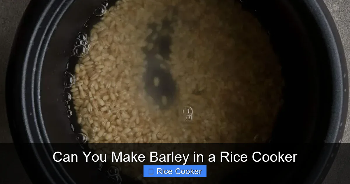 Can You Make Barley in a Rice Cooker