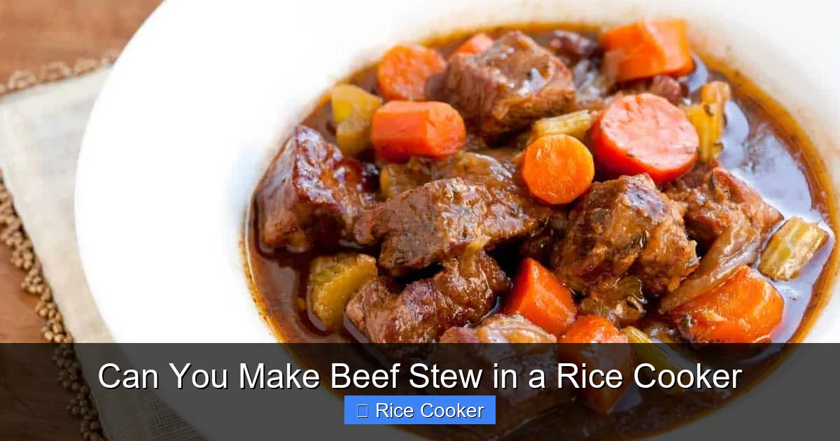 Can You Make Beef Stew in a Rice Cooker