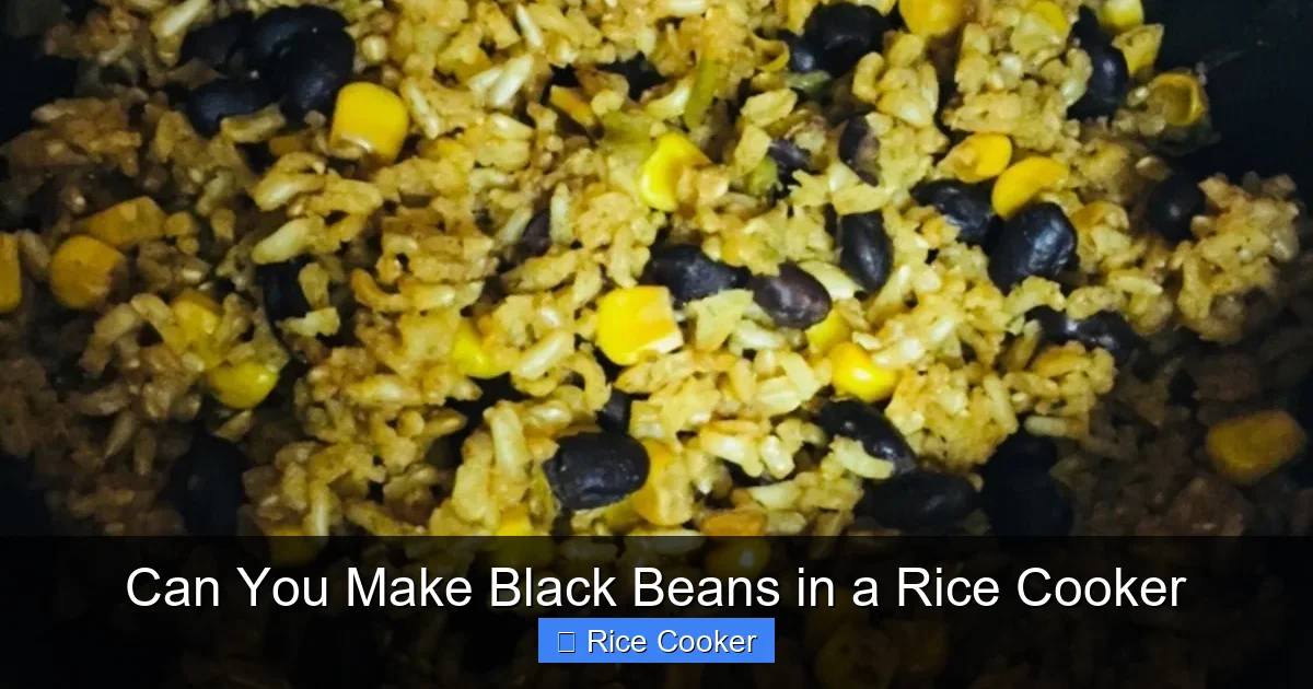 Can You Make Black Beans in a Rice Cooker